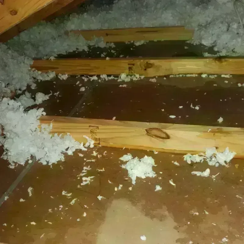 Attic Water Damage in Ben Hill County, GA